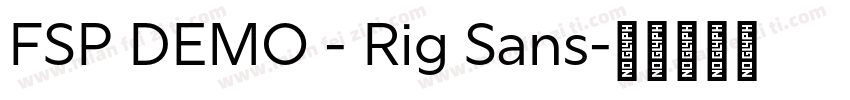 FSP DEMO - Rig Sans字体转换
